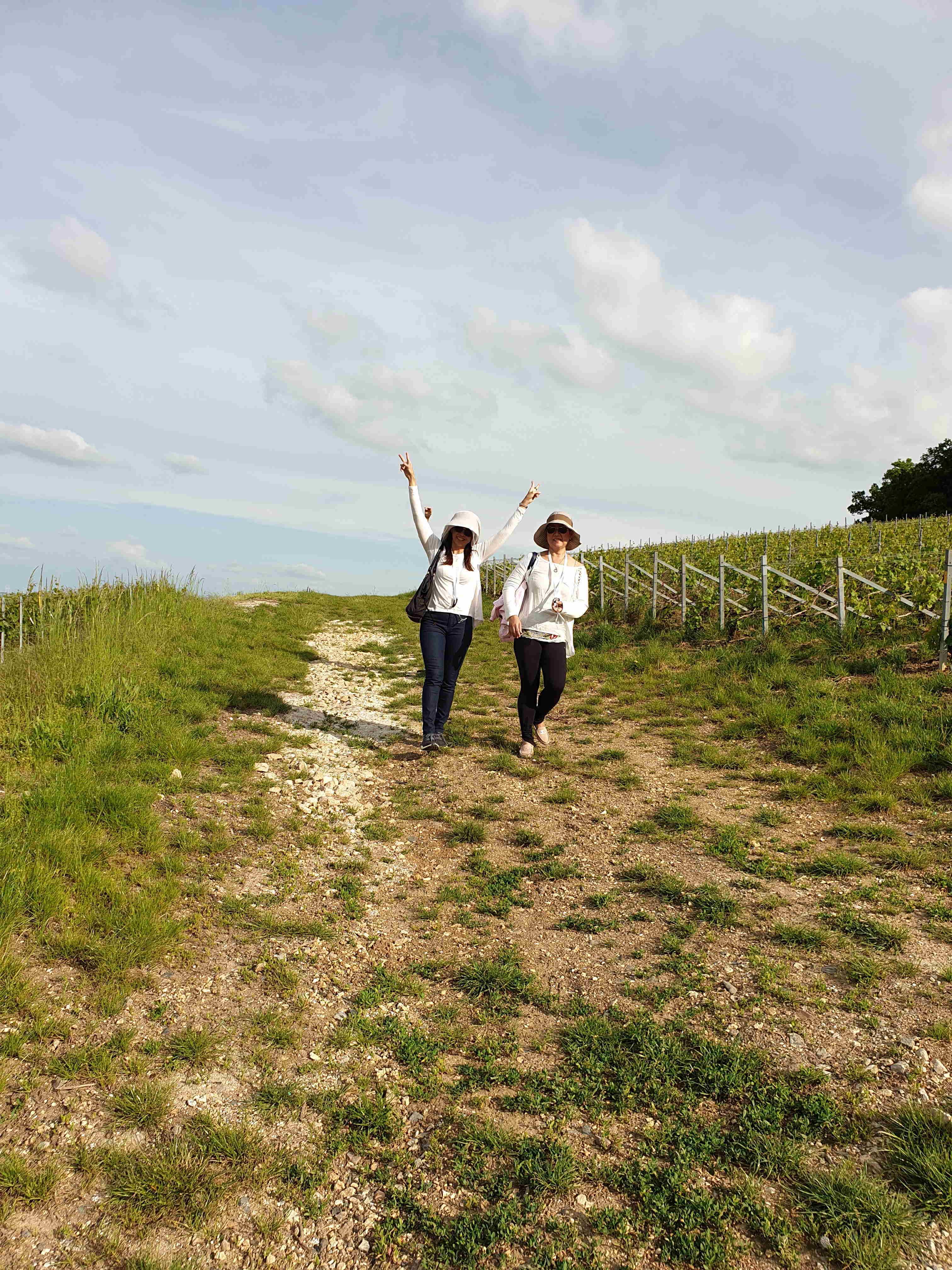  - Tasting walk to Cumières