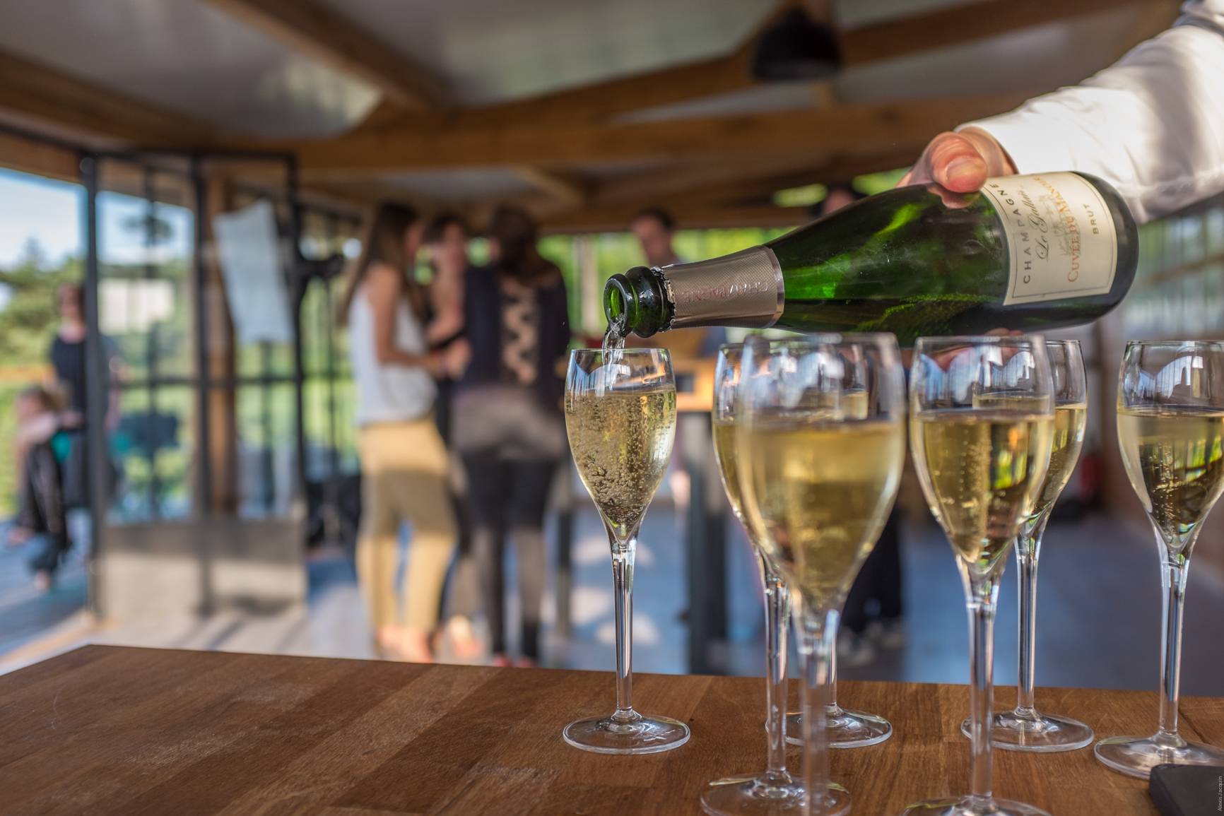 Dégustation de 3 cuvées sur notre Terrasse des Abbayes