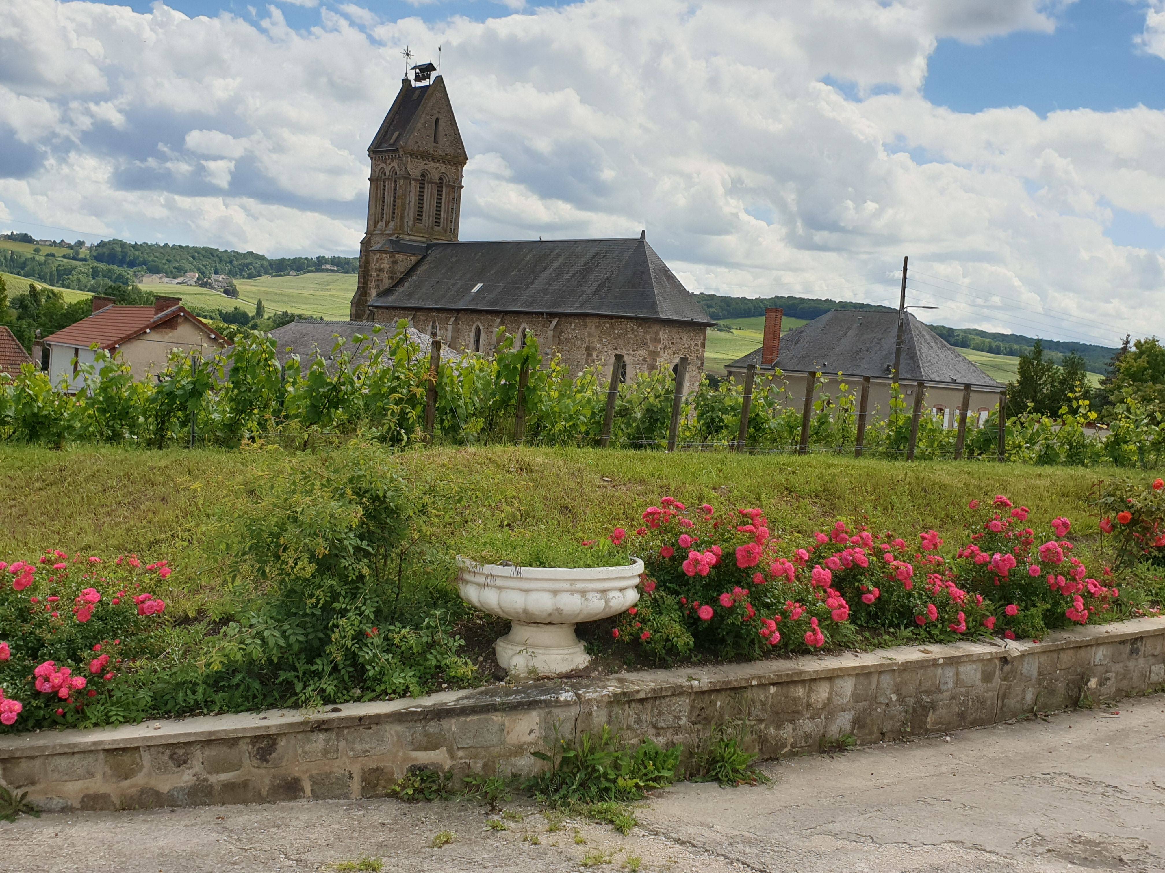 Tasting walk to Moussy