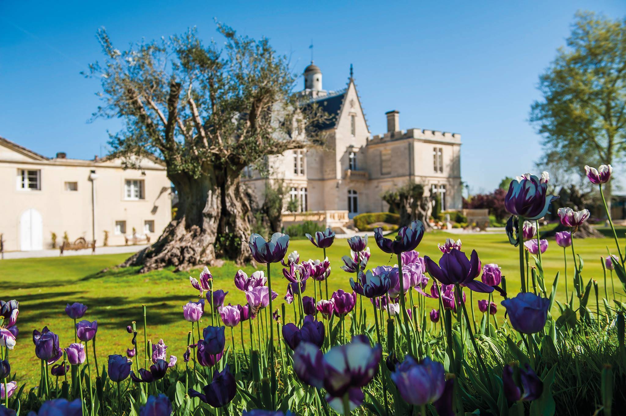 Worshop Wine on Table