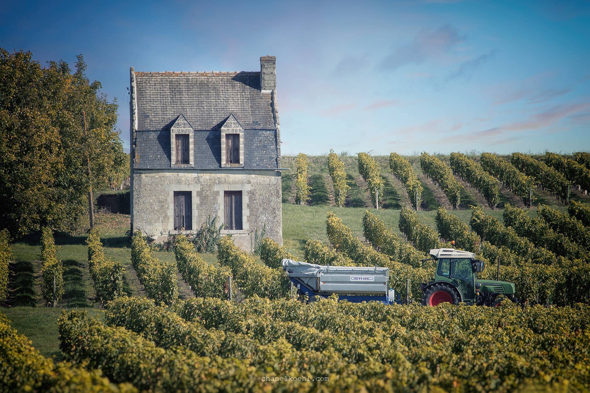  - Private Gyropod Vineyard Tour