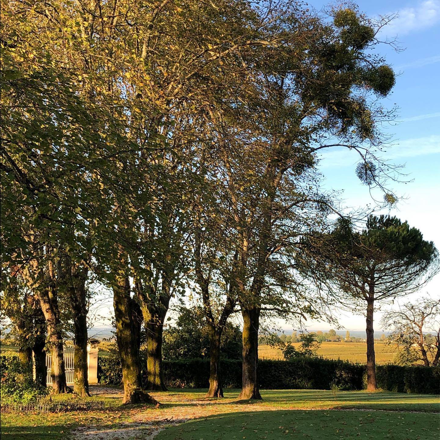  - Visit of the estate and tasting