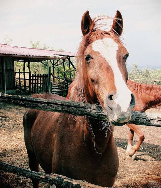  - Degustazione "3 Vini"