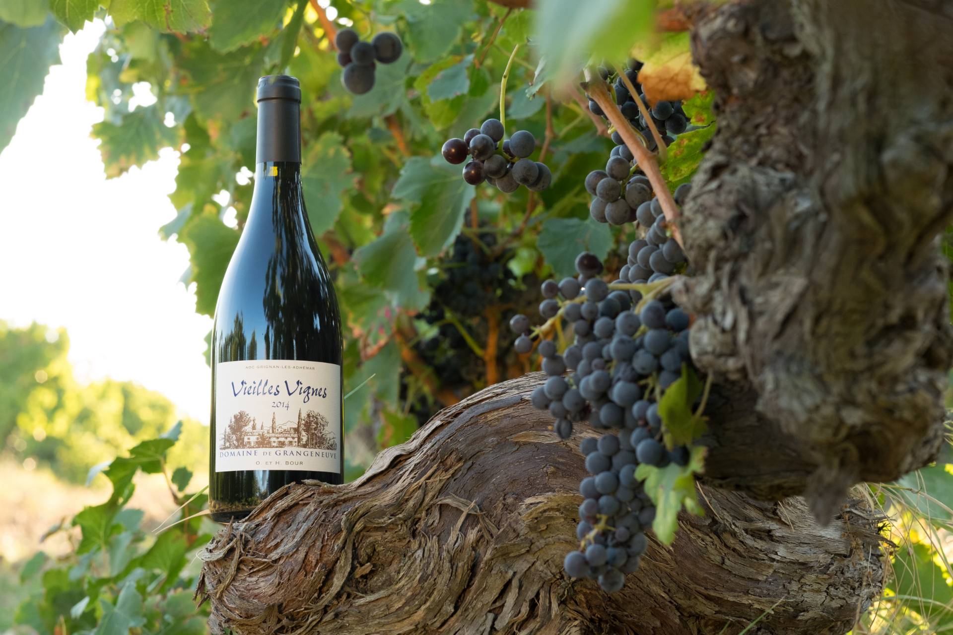 Domaine De Grangeneuve