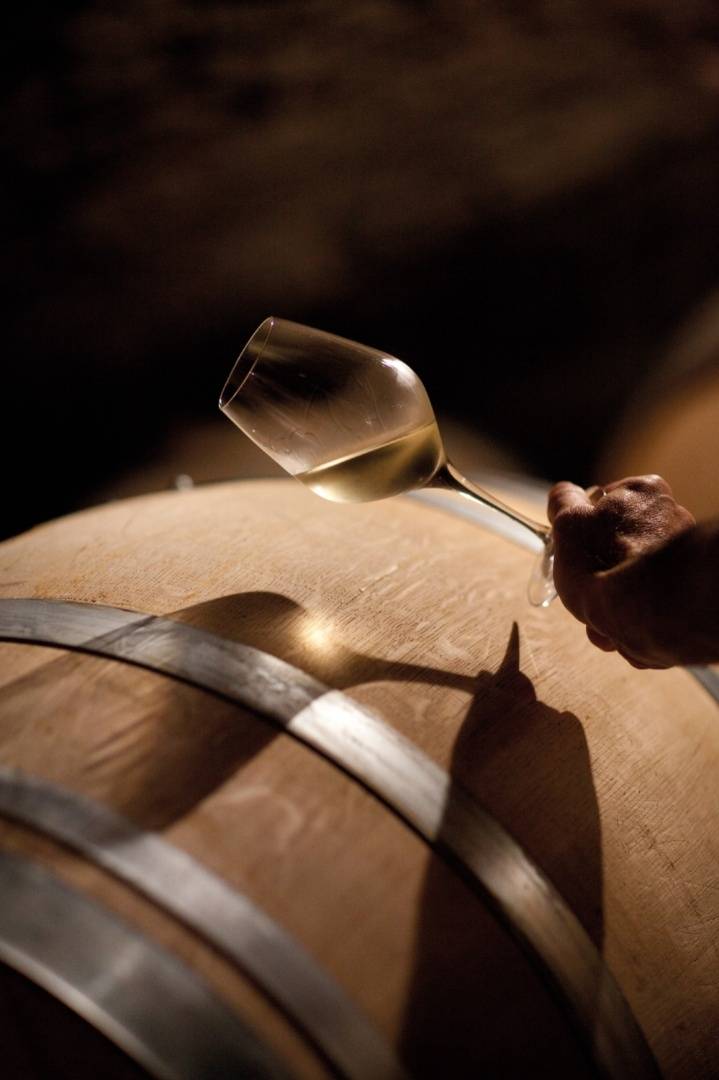 Visite de nos caves et dégustations de 6 vins