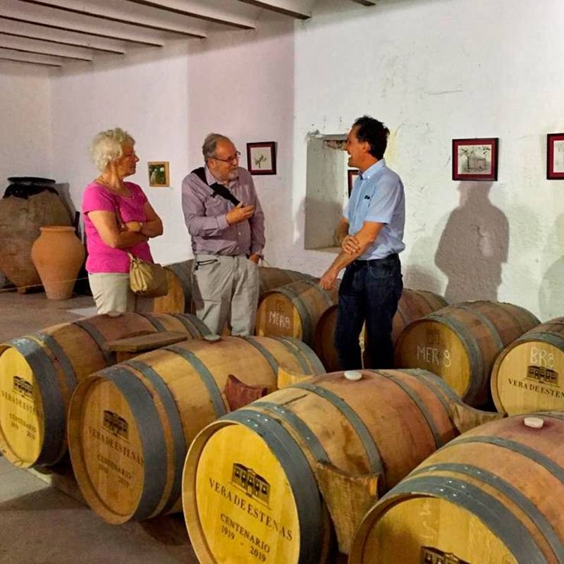  - Valencia Wine Tour: wineries in Utiel Requena
