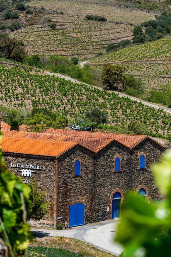  - Viininviljelijän jalanjäljissä