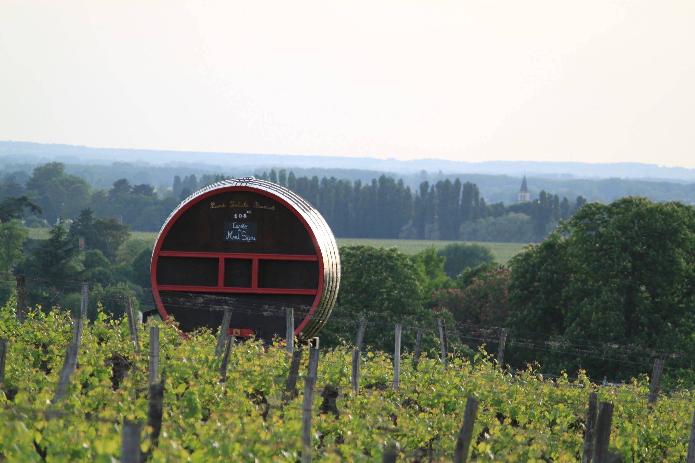  - Um dia nas vinhas do Vale do Loire