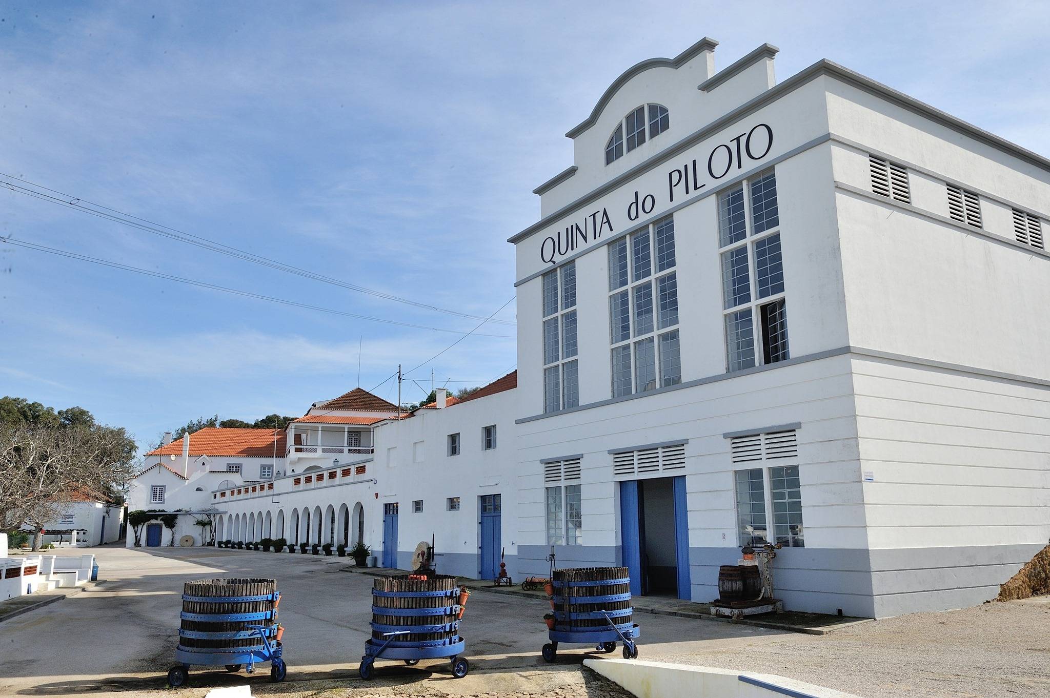  - Programa Paladares