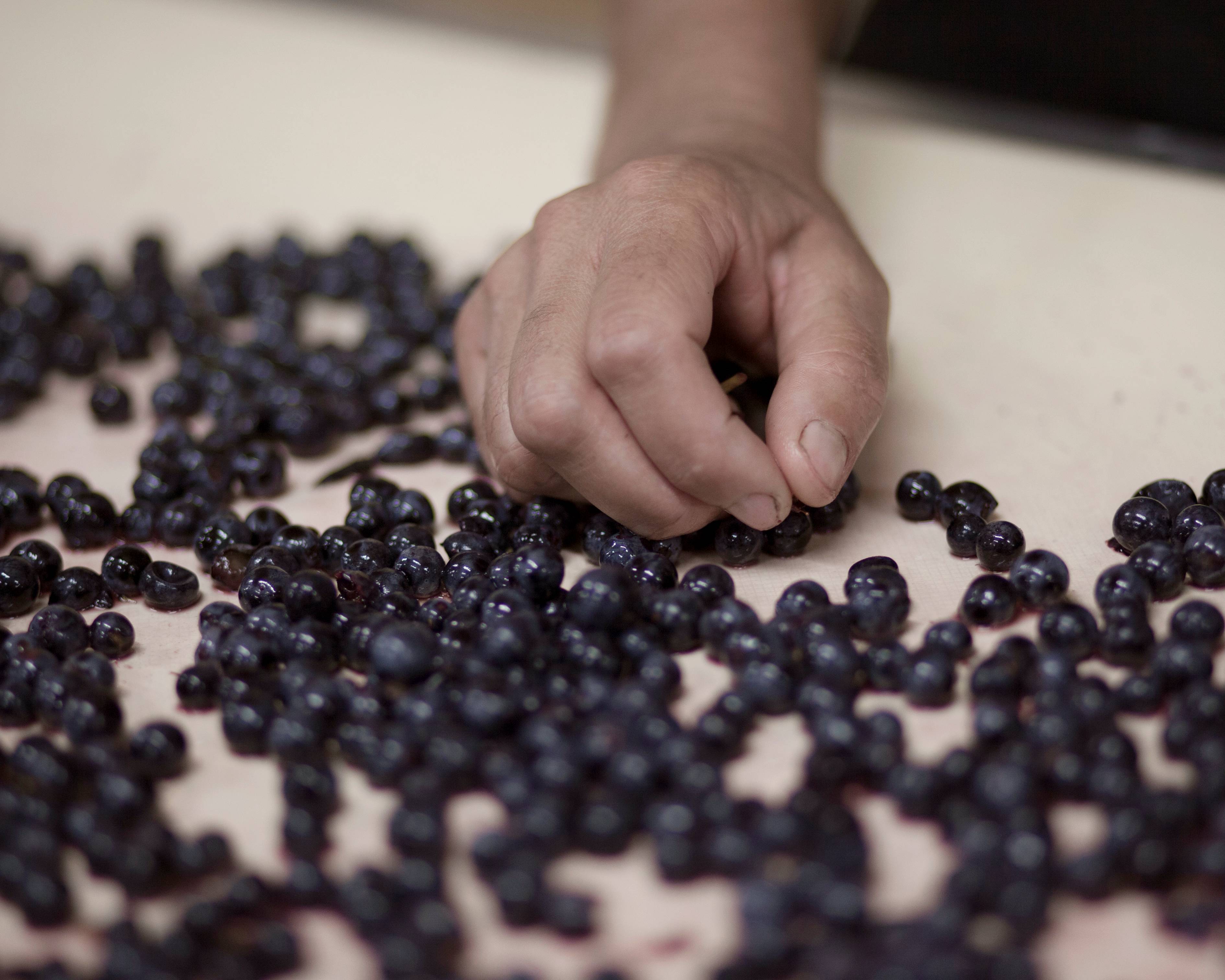  - Secret behind a Vintage