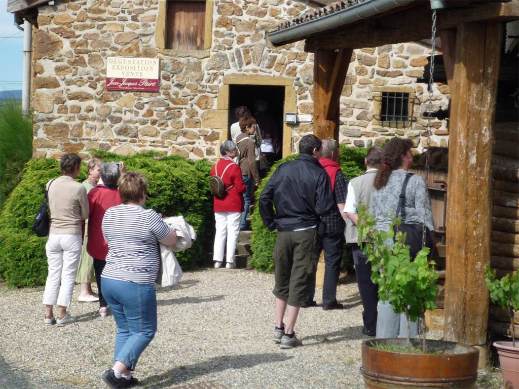  - Food and wine pairing