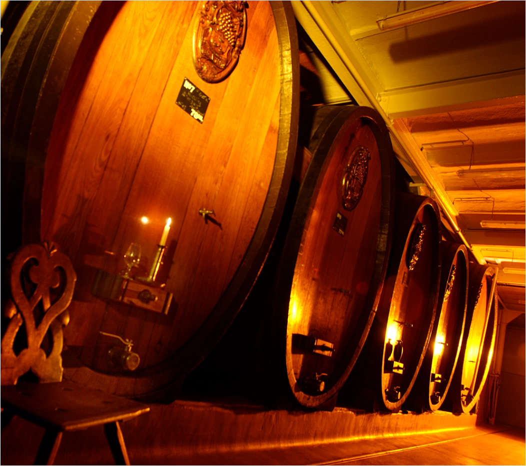  - Visit of the Cellar and Tasting at the Cellar