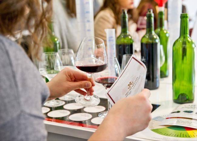  - B-Winemaker: Tour Carnet grape varieties