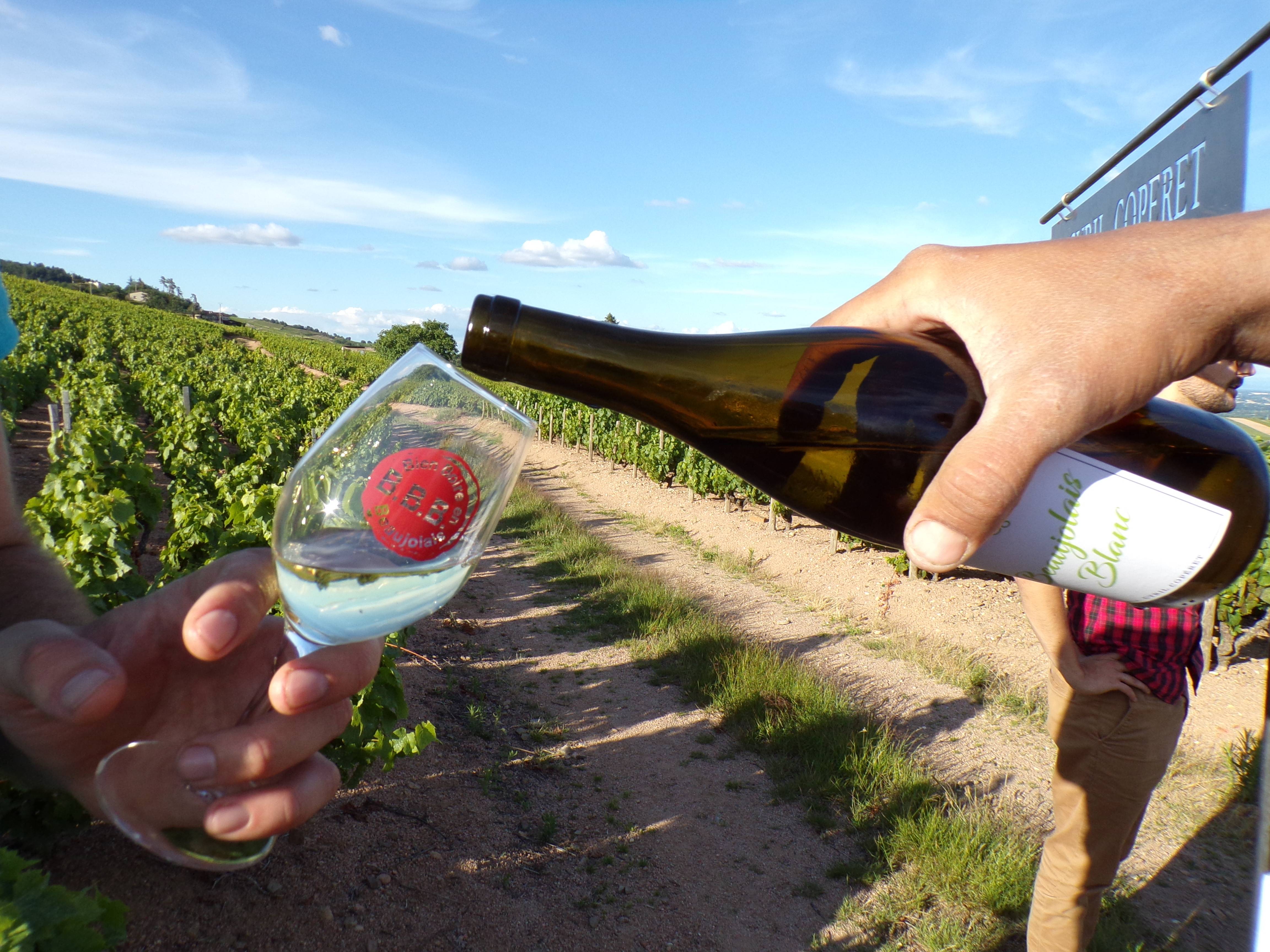  - Beaujolais Wine Tour - Start from Mâcon