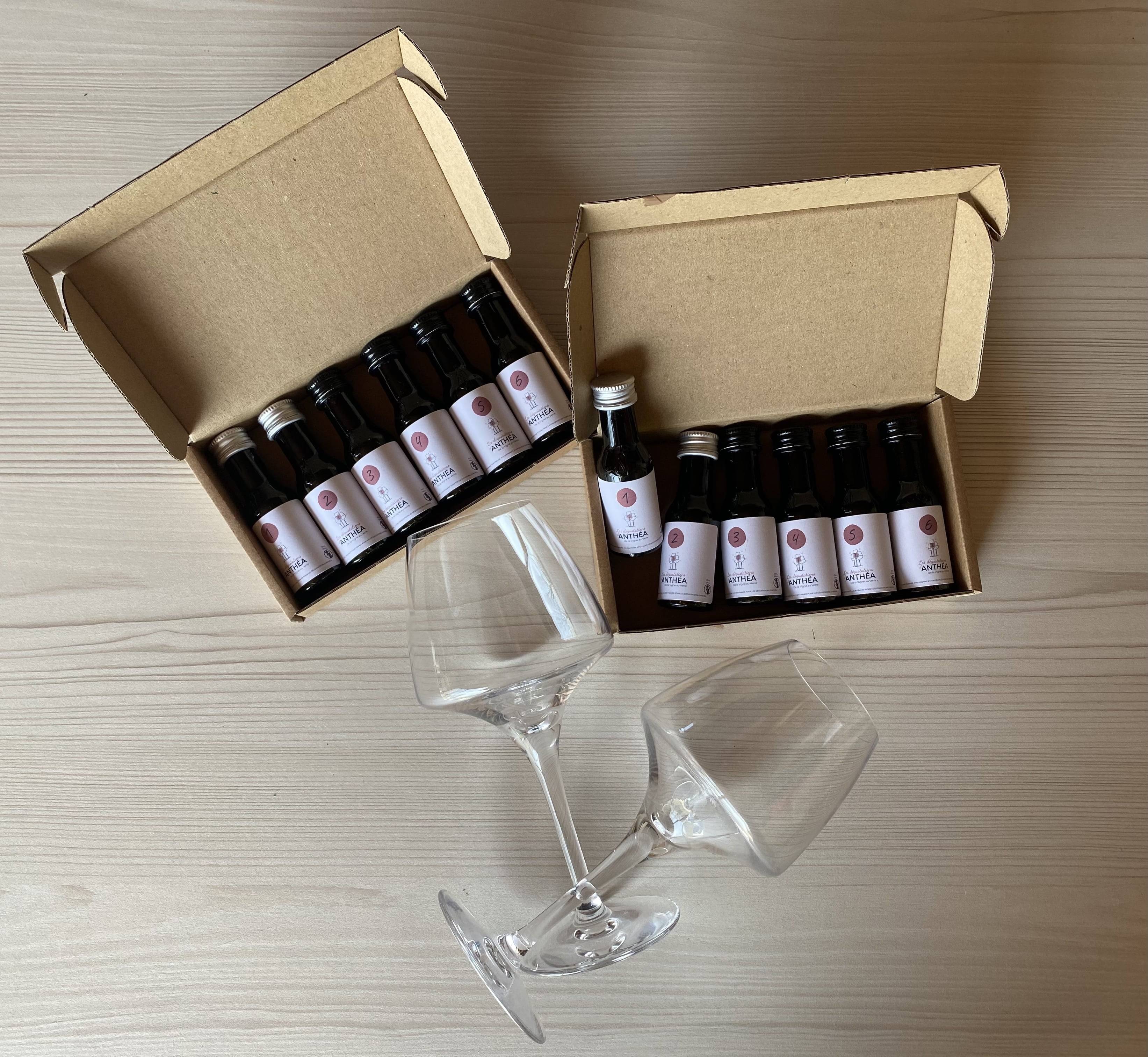  - Maistelupaja "Löydä salaisuudet ja maista 6 välttämätöntä rypälelajiketta"