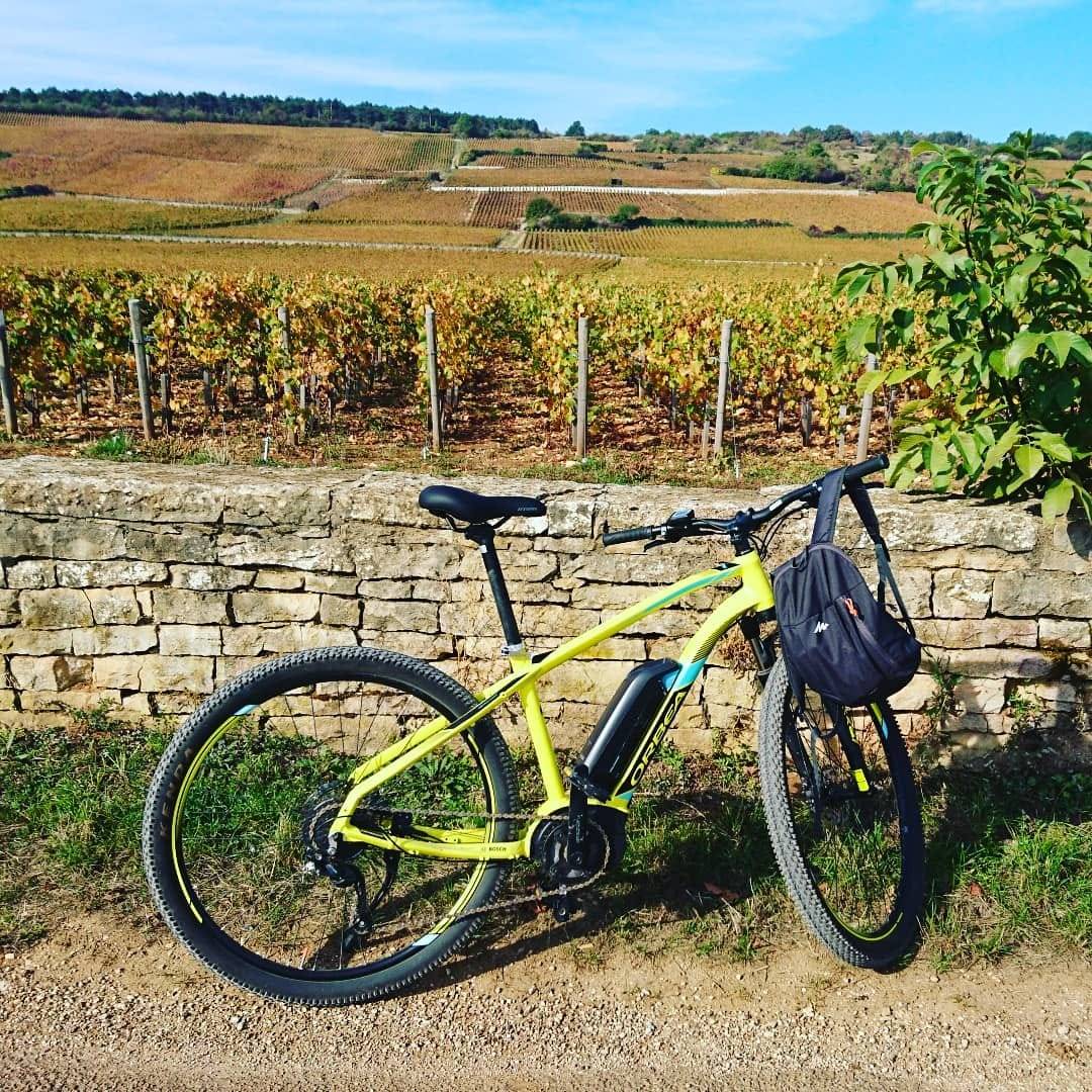  - Discovery of the Burgundy vineyards by bike and tasting