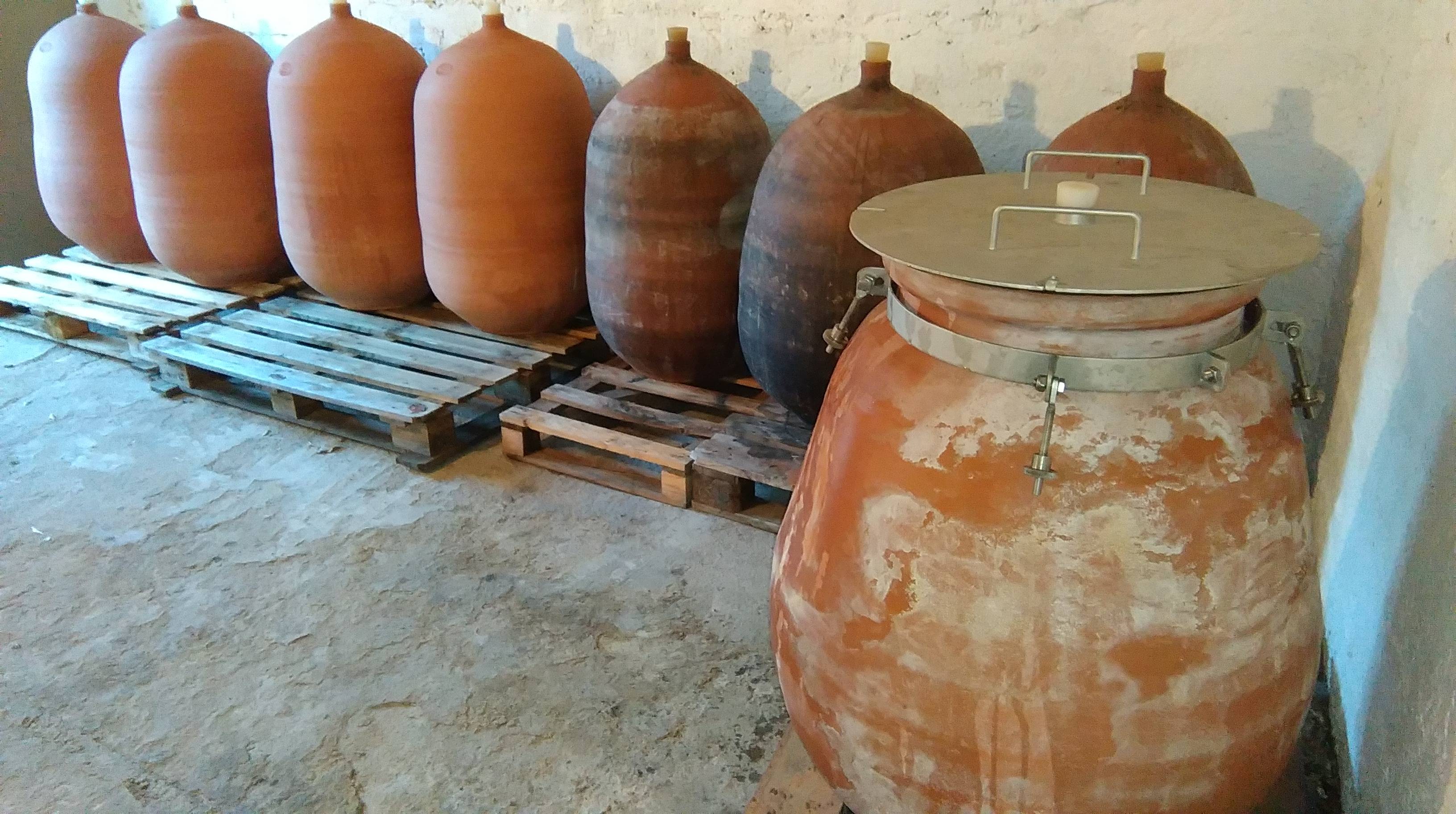  - Visit and tasting of 7 organic and natural wines