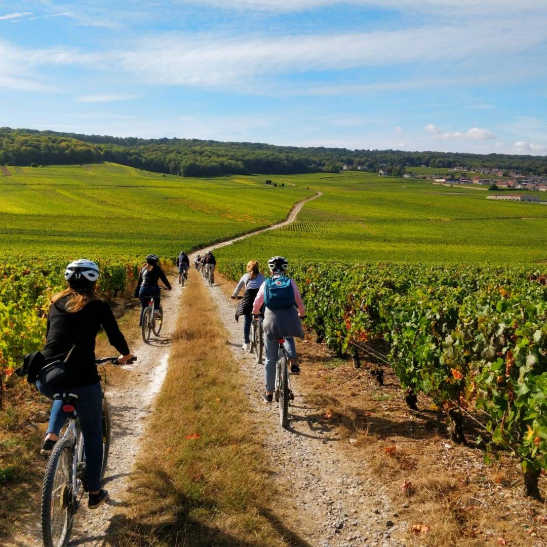 Balade à vélo en Champagne