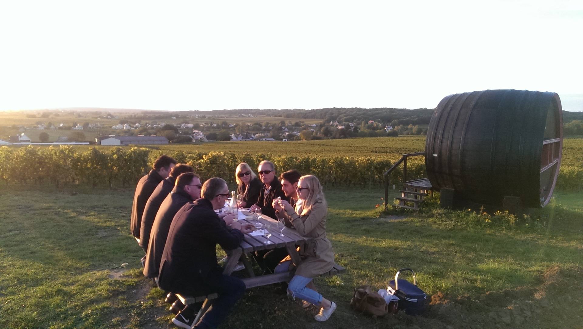 Um dia nas vinhas do Vale do Loire
