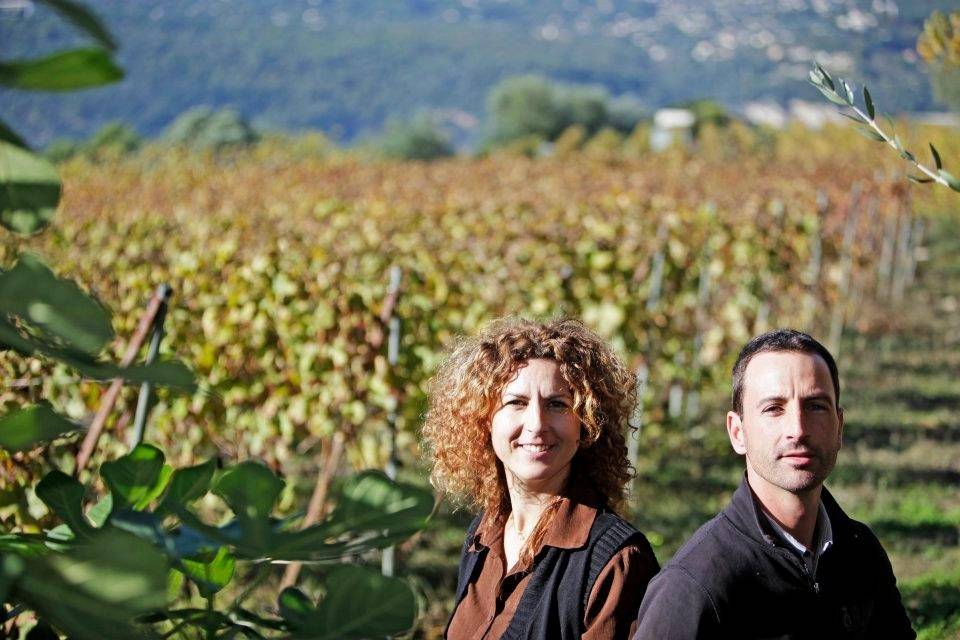 Discovery of the Niçois vineyard and the organic wines of Bellet
