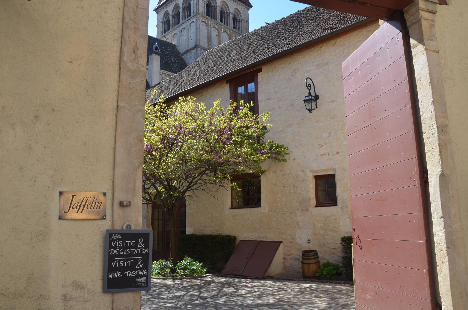 Visit and tasting session of 5 wines