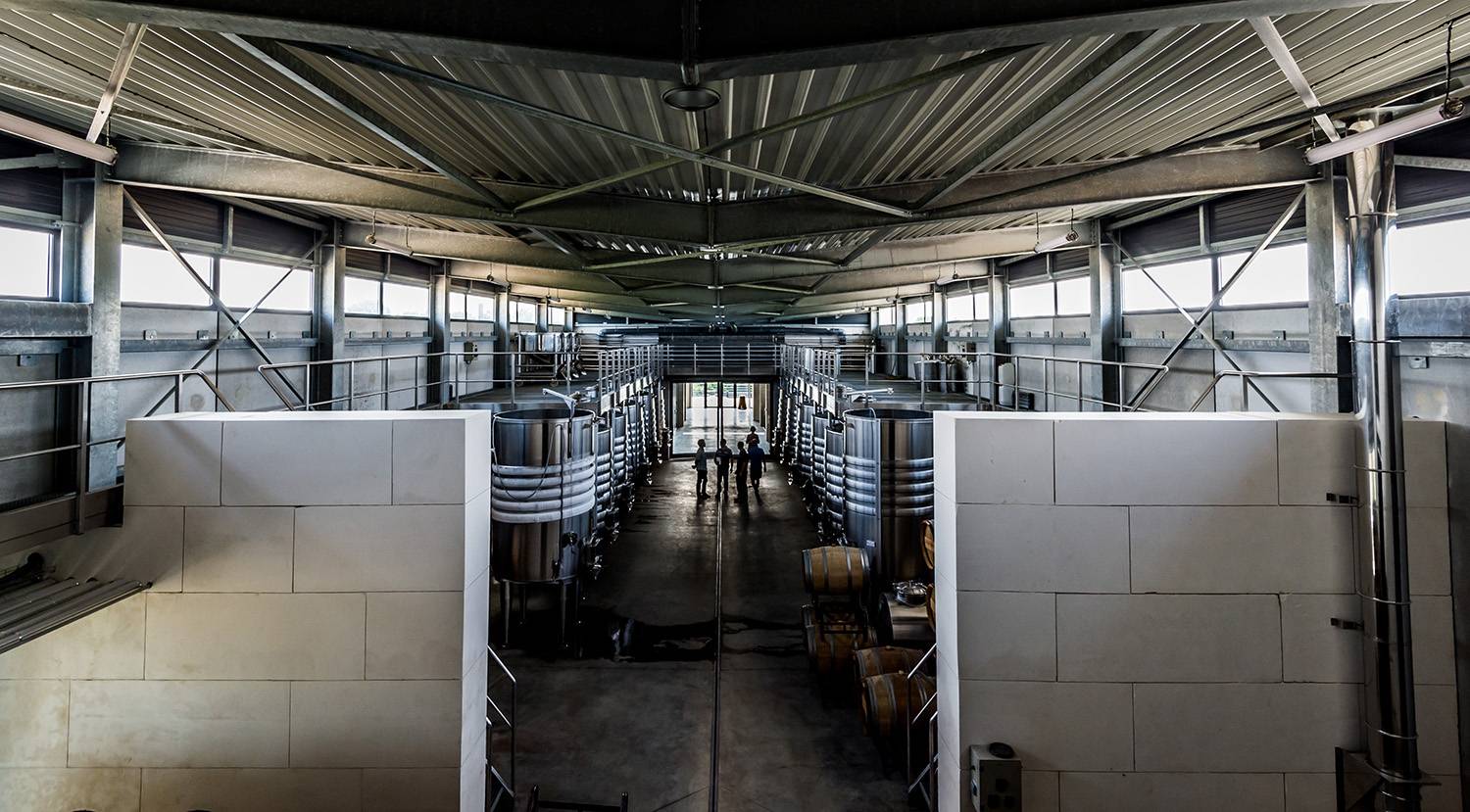 Tour "the art of winemaking"