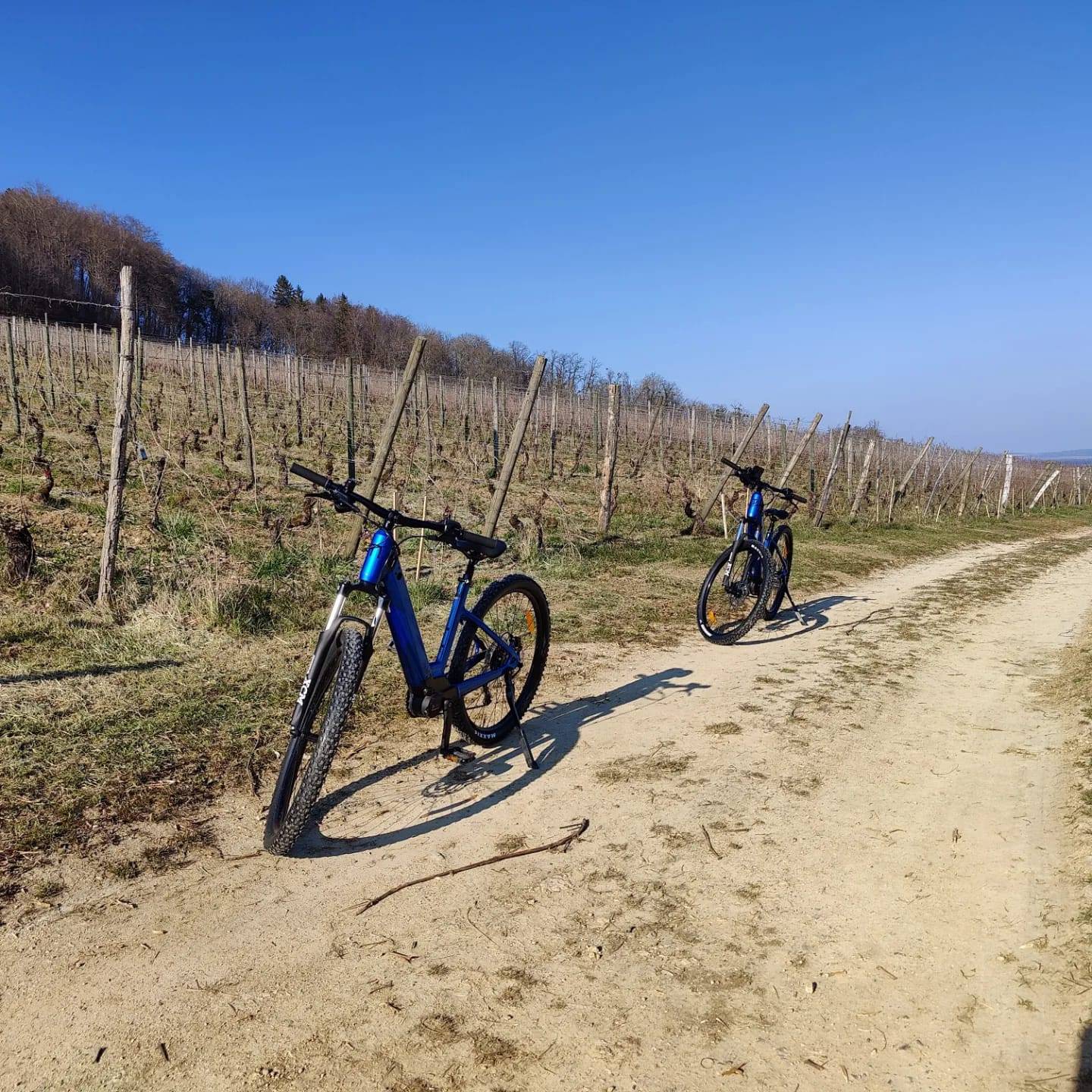 promenad-at-maison-leli-vre-in-lorraine-uppt-ckt-av-egendomen-med-e