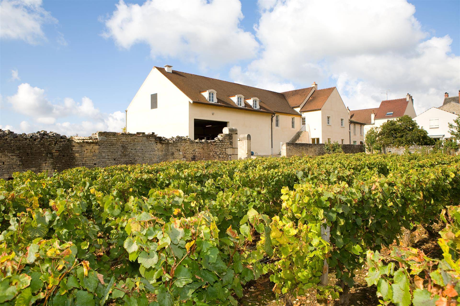  - Discovery of the Meursault cellars where the wines are matured in eggs!