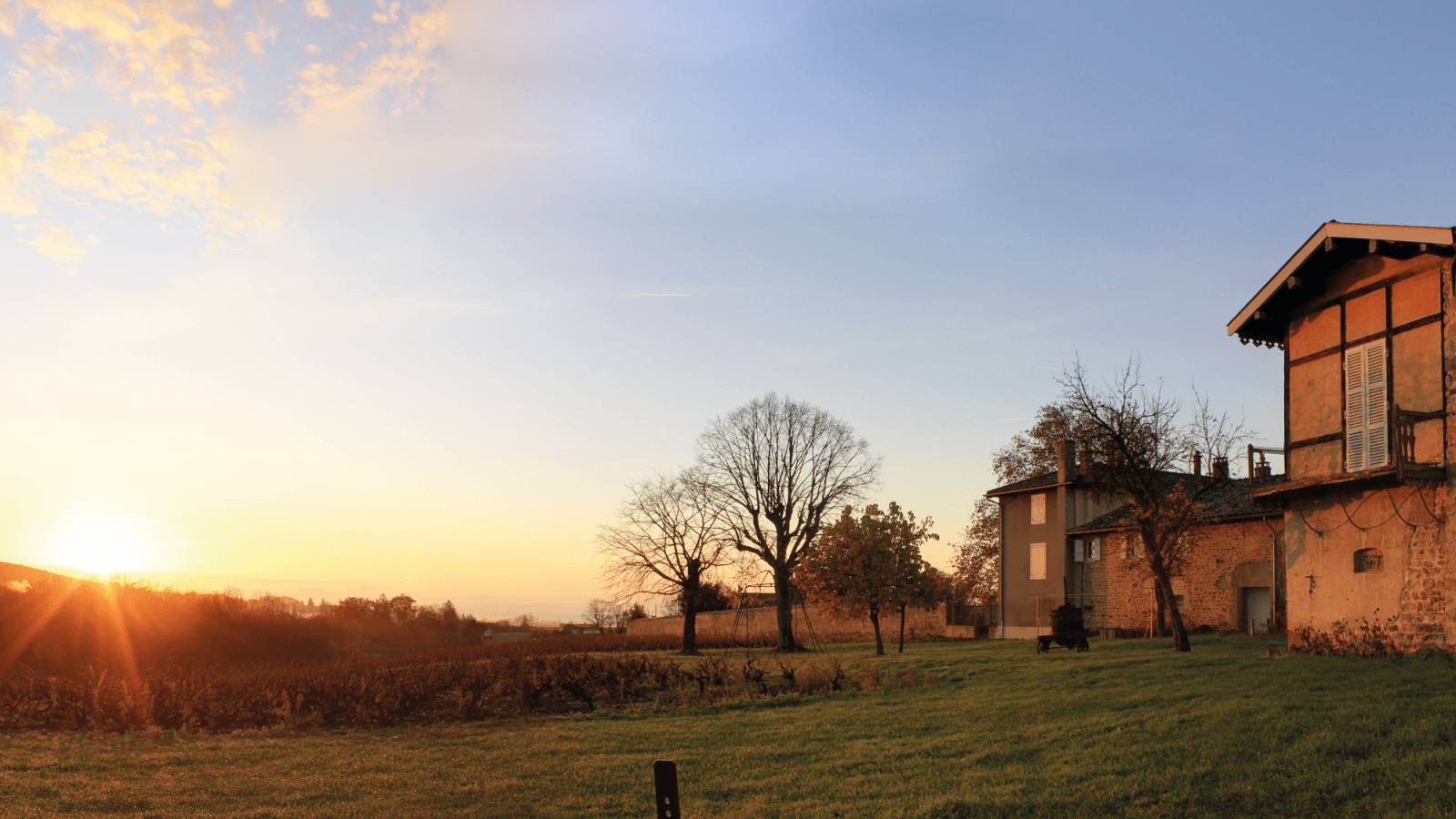  - The wine & cheese workshop