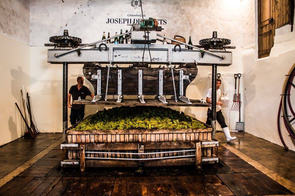  - Visit of the oldest wine press of the AOC Champagne