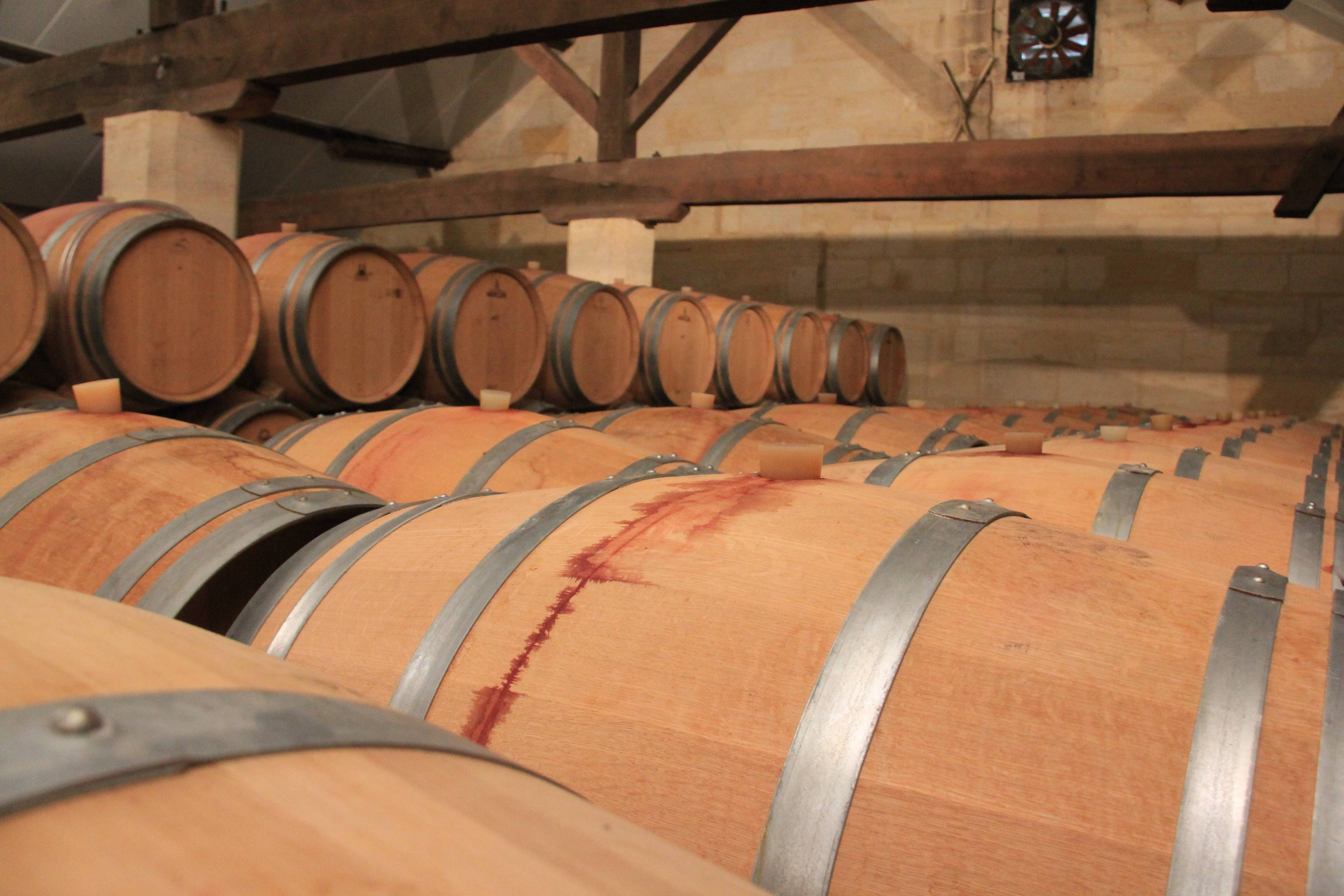  - Self-guided bike ride tour to St-Emilion