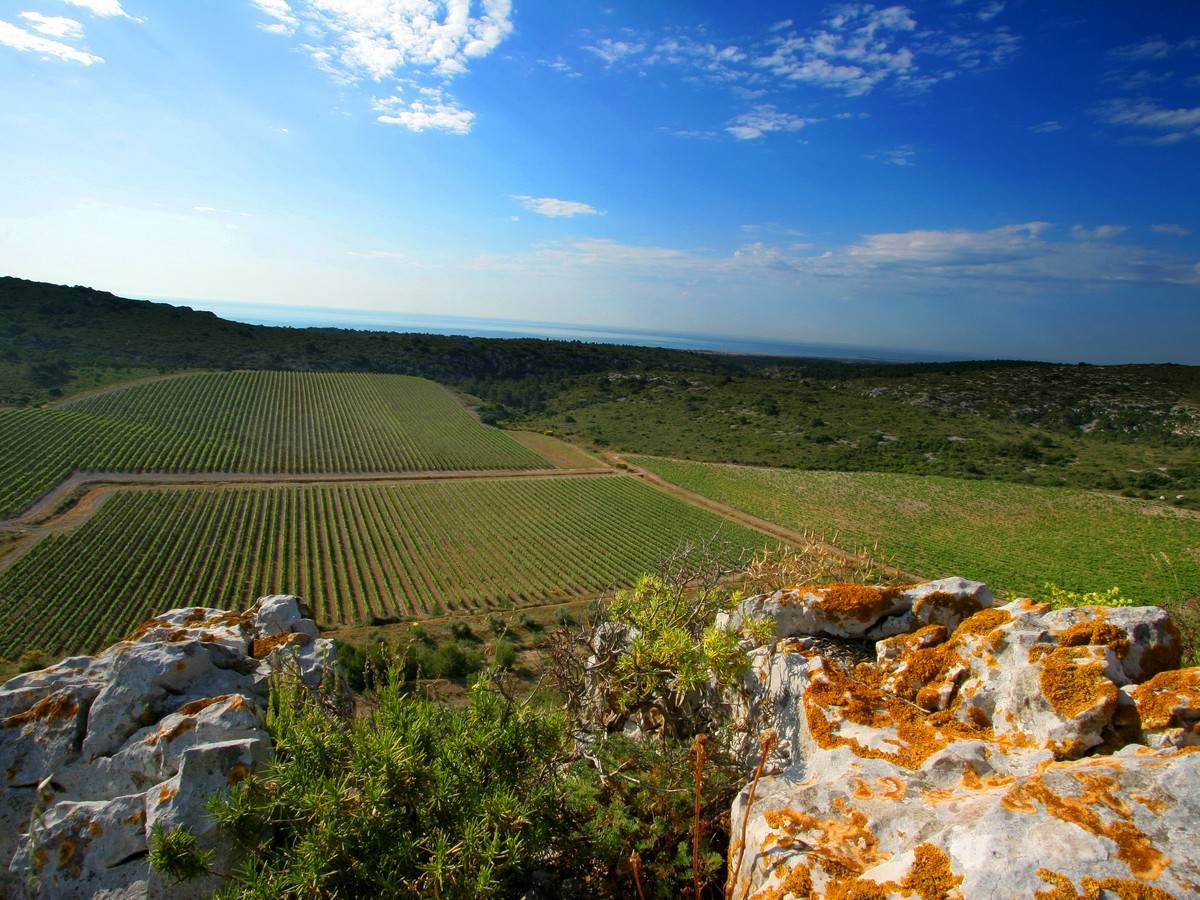  - Private tour of Château Hospitalet by electric scooter