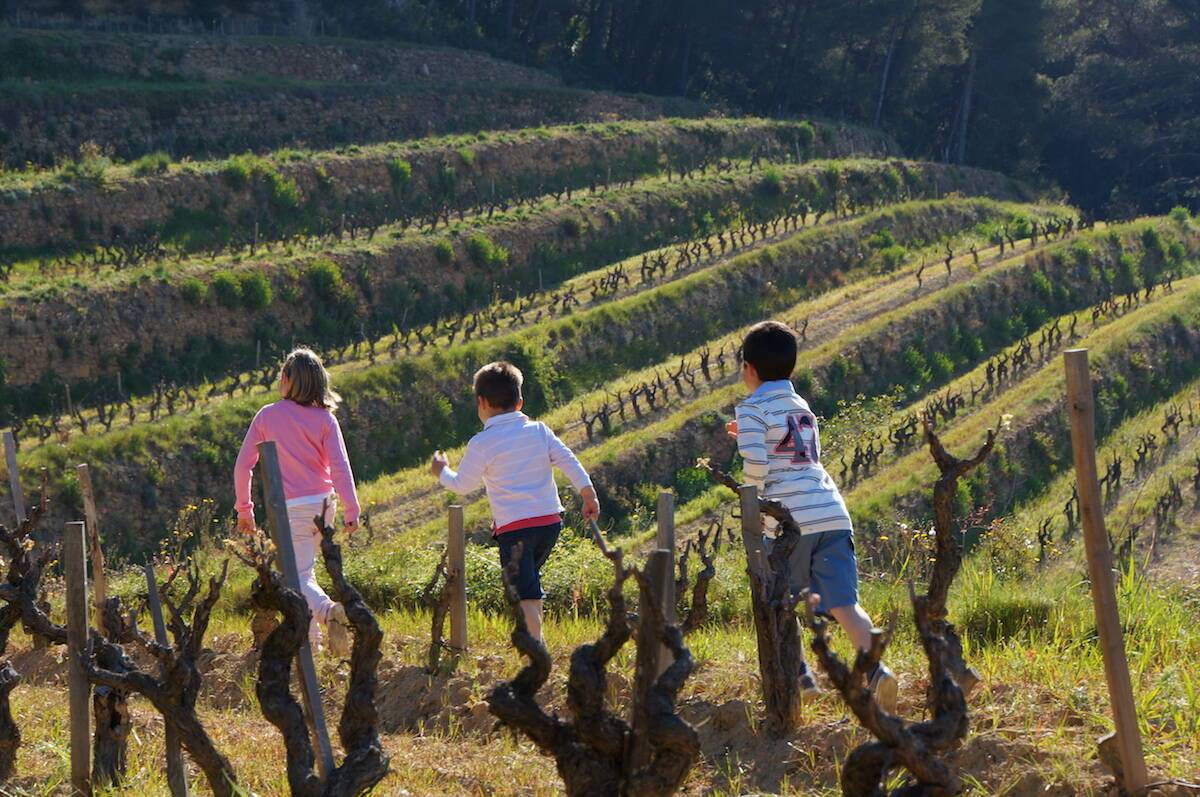  - Tour-tasting: Walks in Canadel