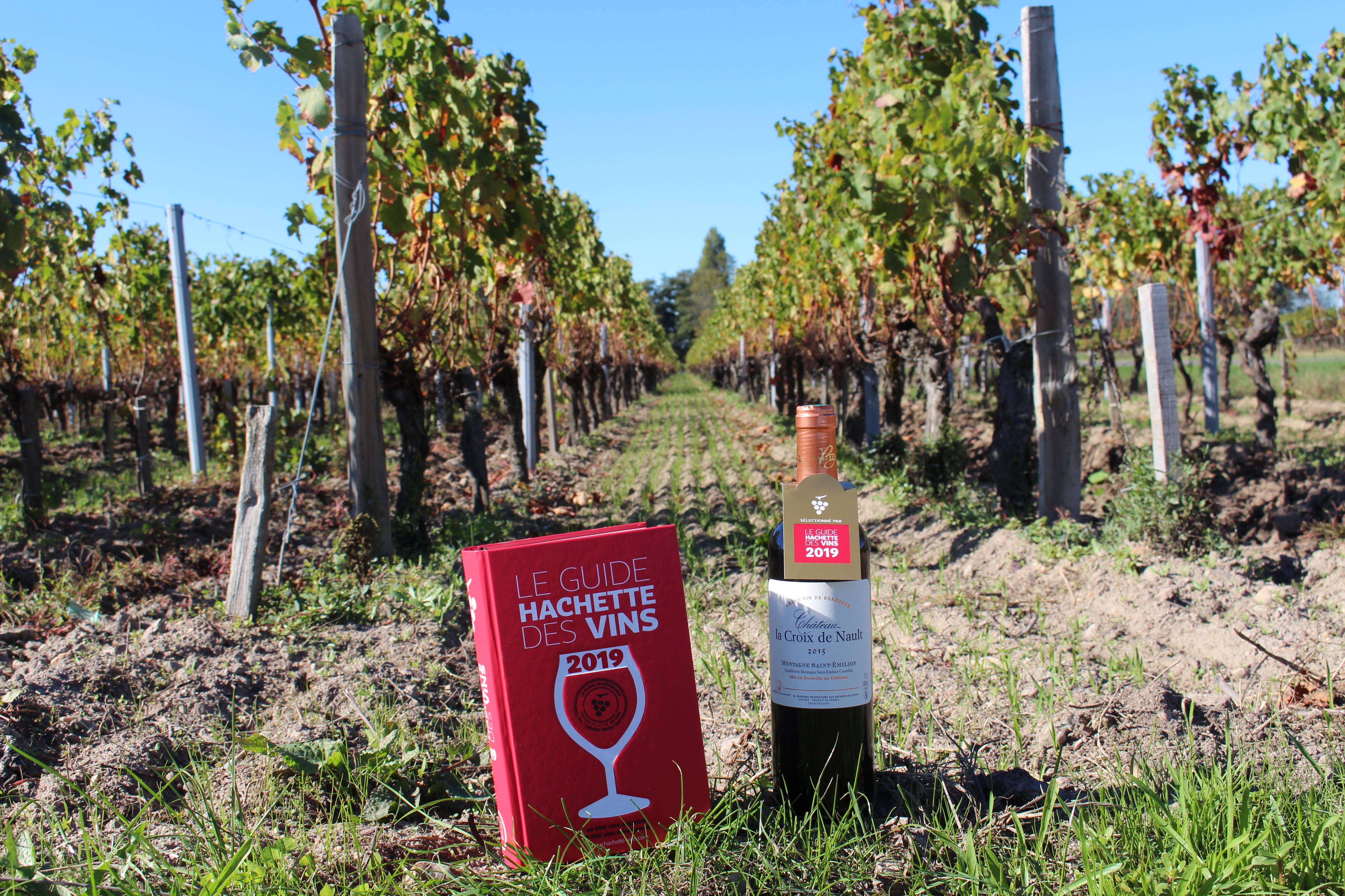  - From soil to glass