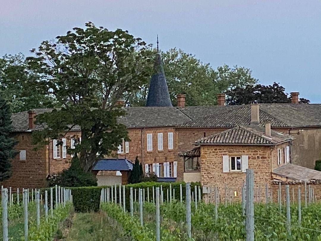 Private tour at the Château de Champ-Renard & Wine tasting