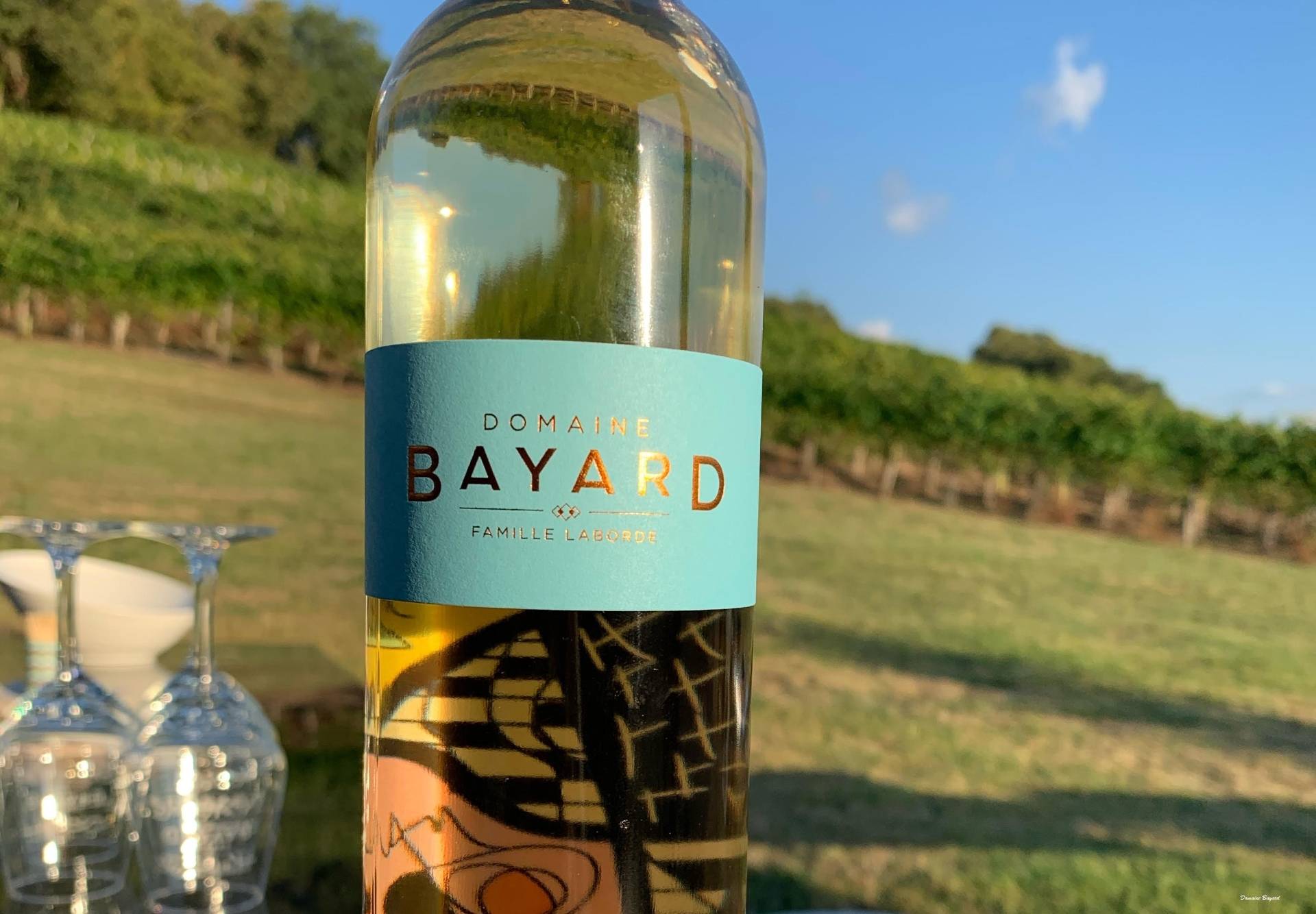 Oenophile & tasty tour 