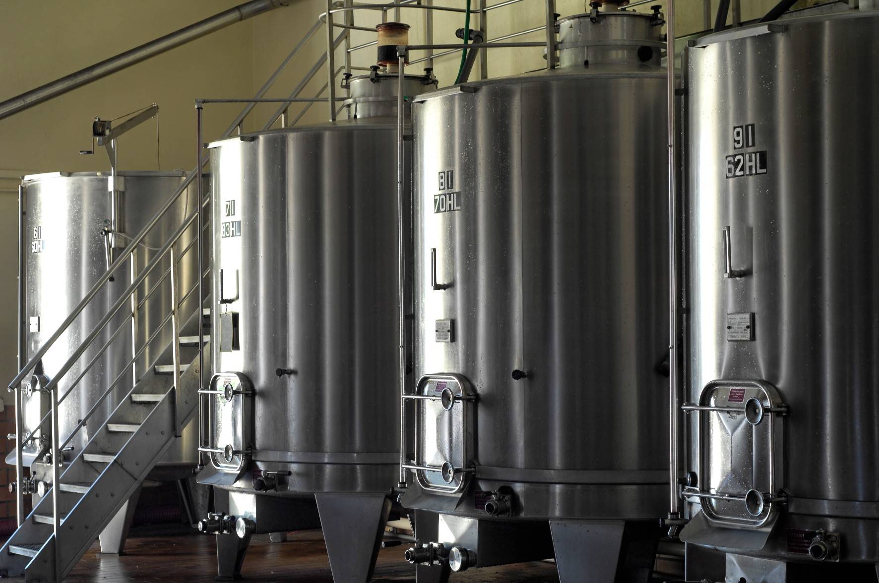  - Visit and introduction to wine tasting