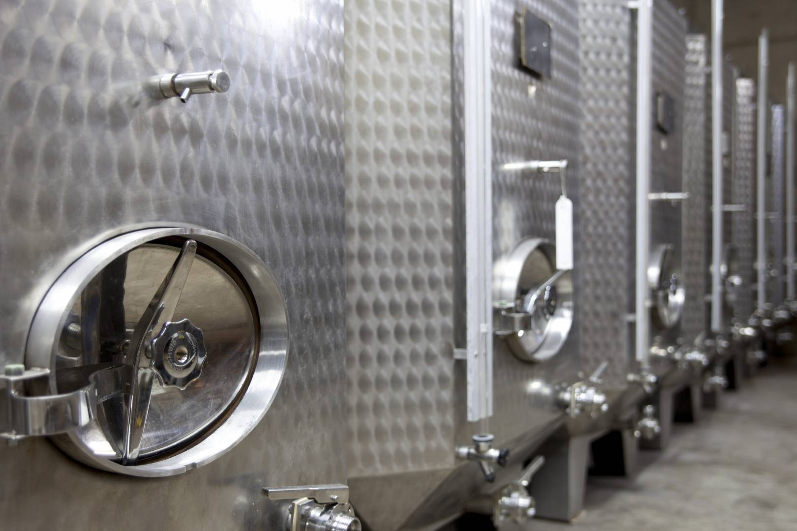 Au cœur de nos caves