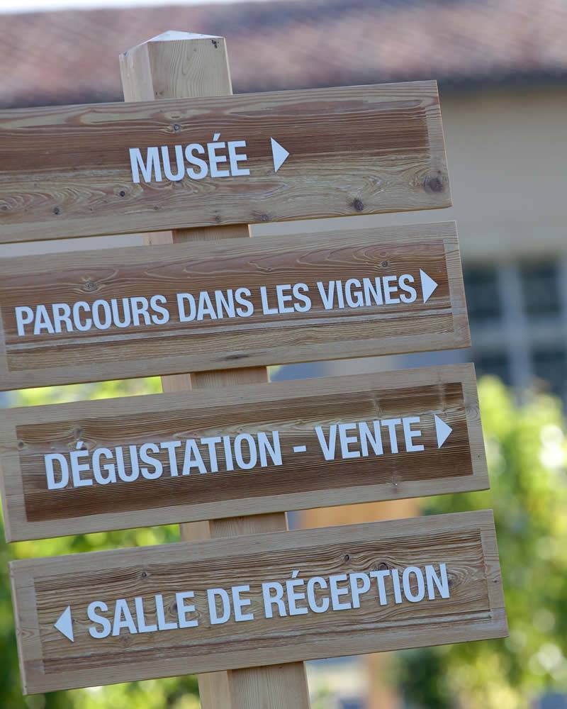  - Vine and wine ecomuseum