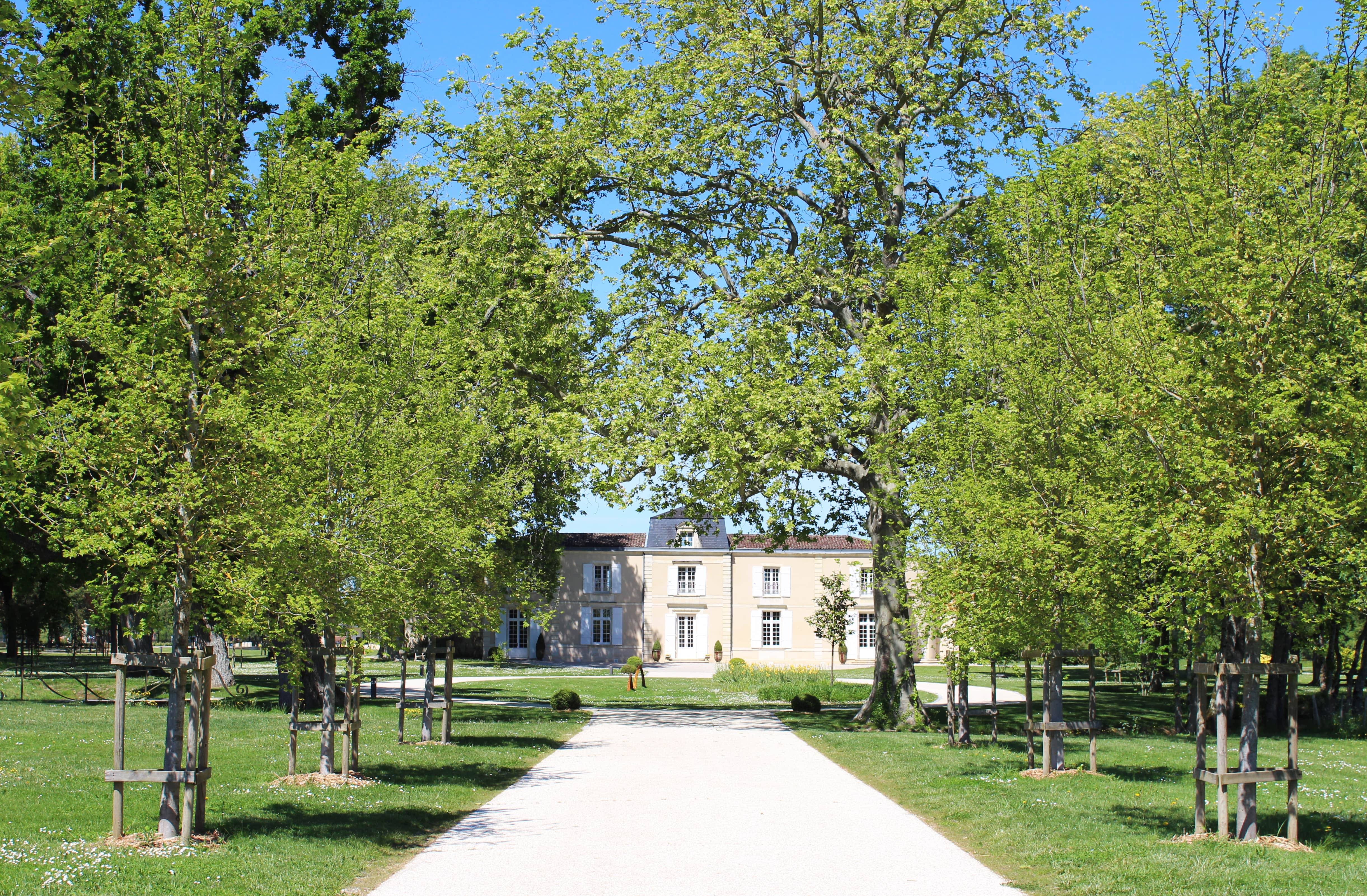  - Chocolate & Wine Pairing