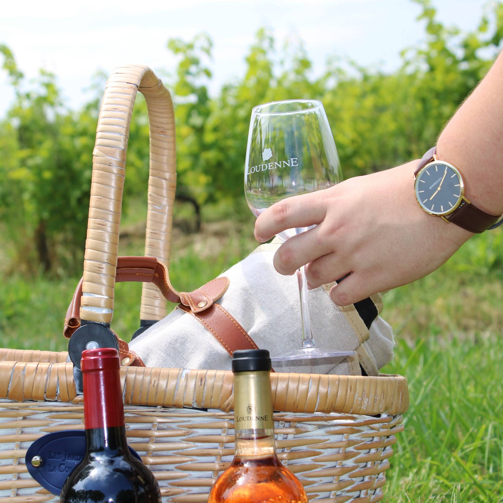  - Visita e degustazione poi picnic nel cuore dei vigneti