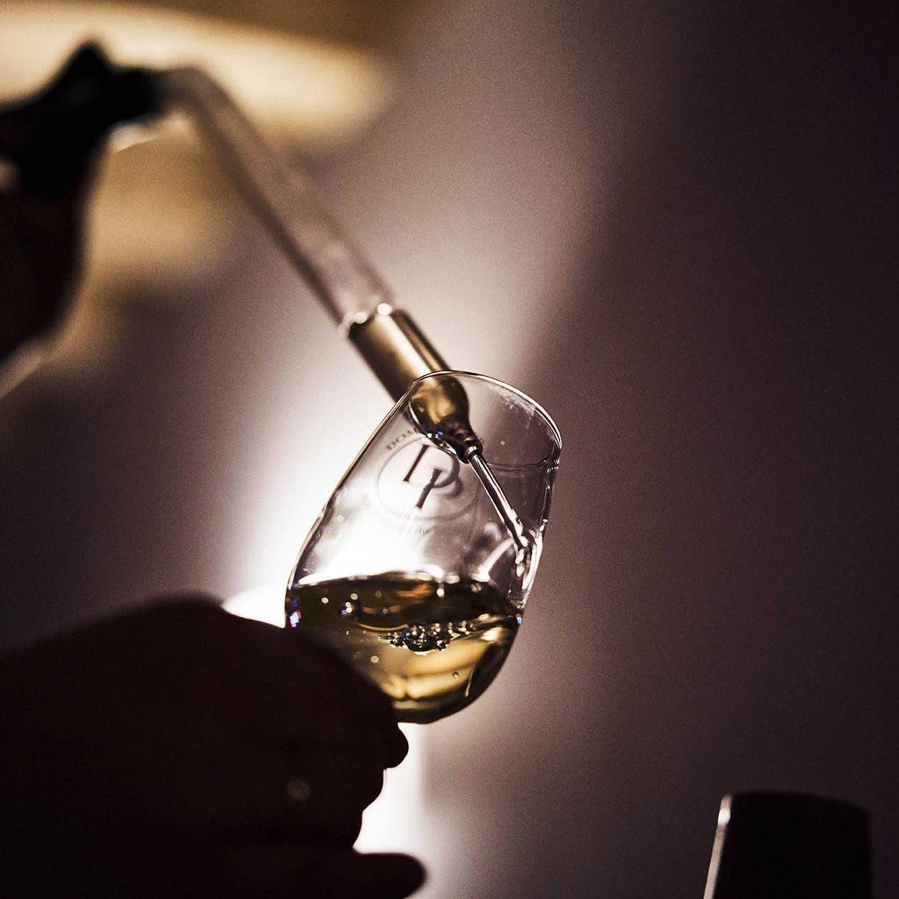 Visit and tasting of our wines and local products