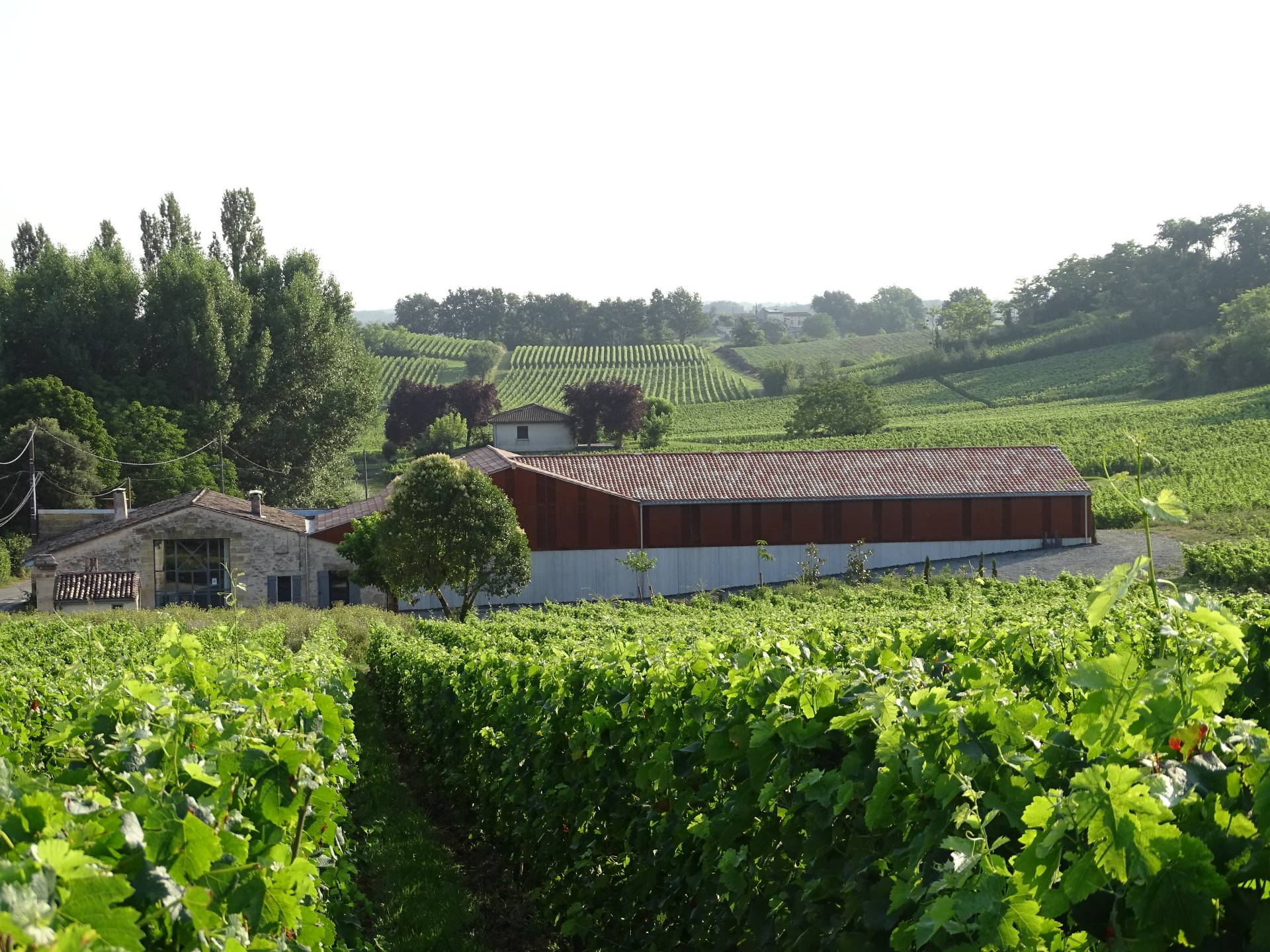 Château Rol Valentin