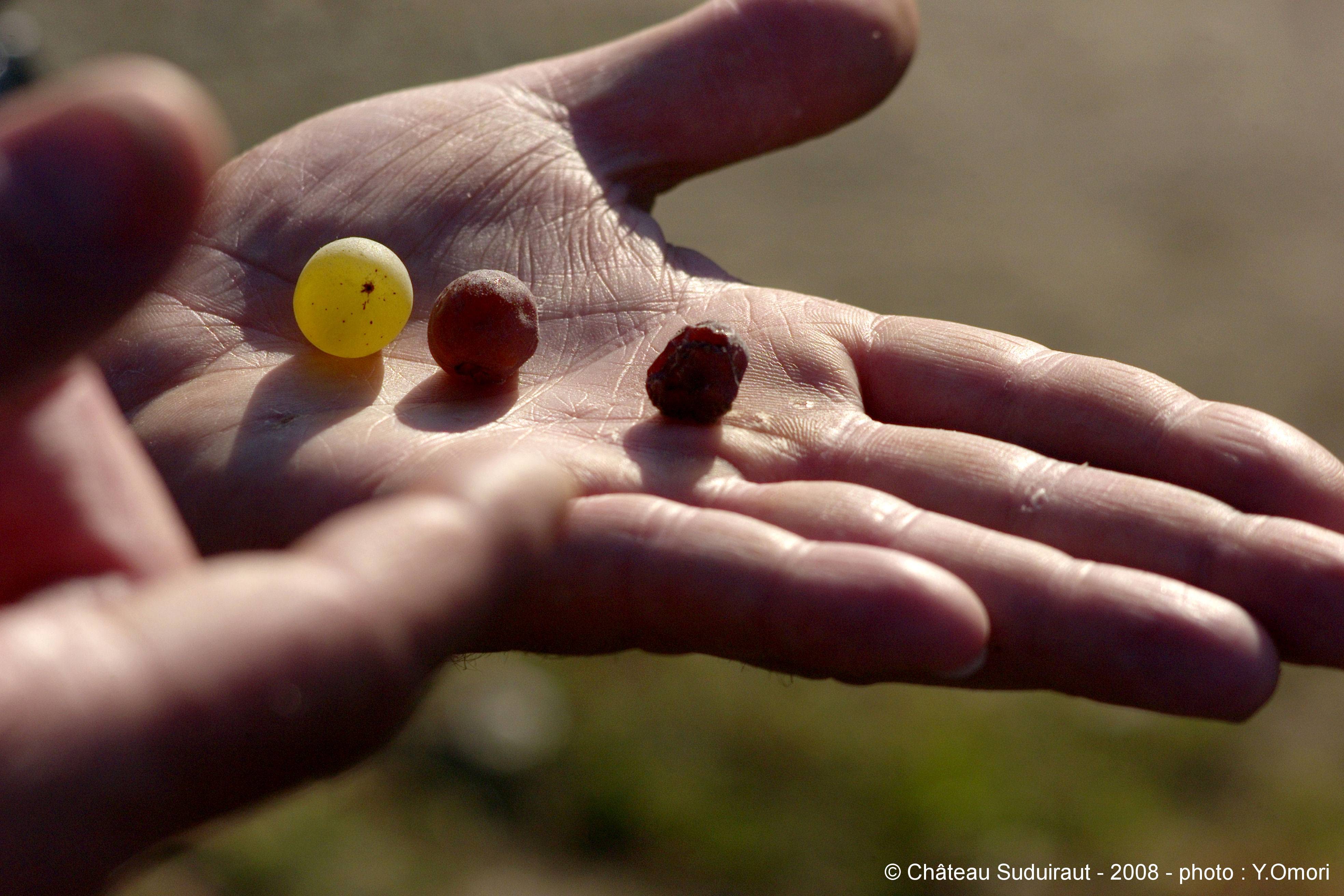  - Master Class tour and tasting