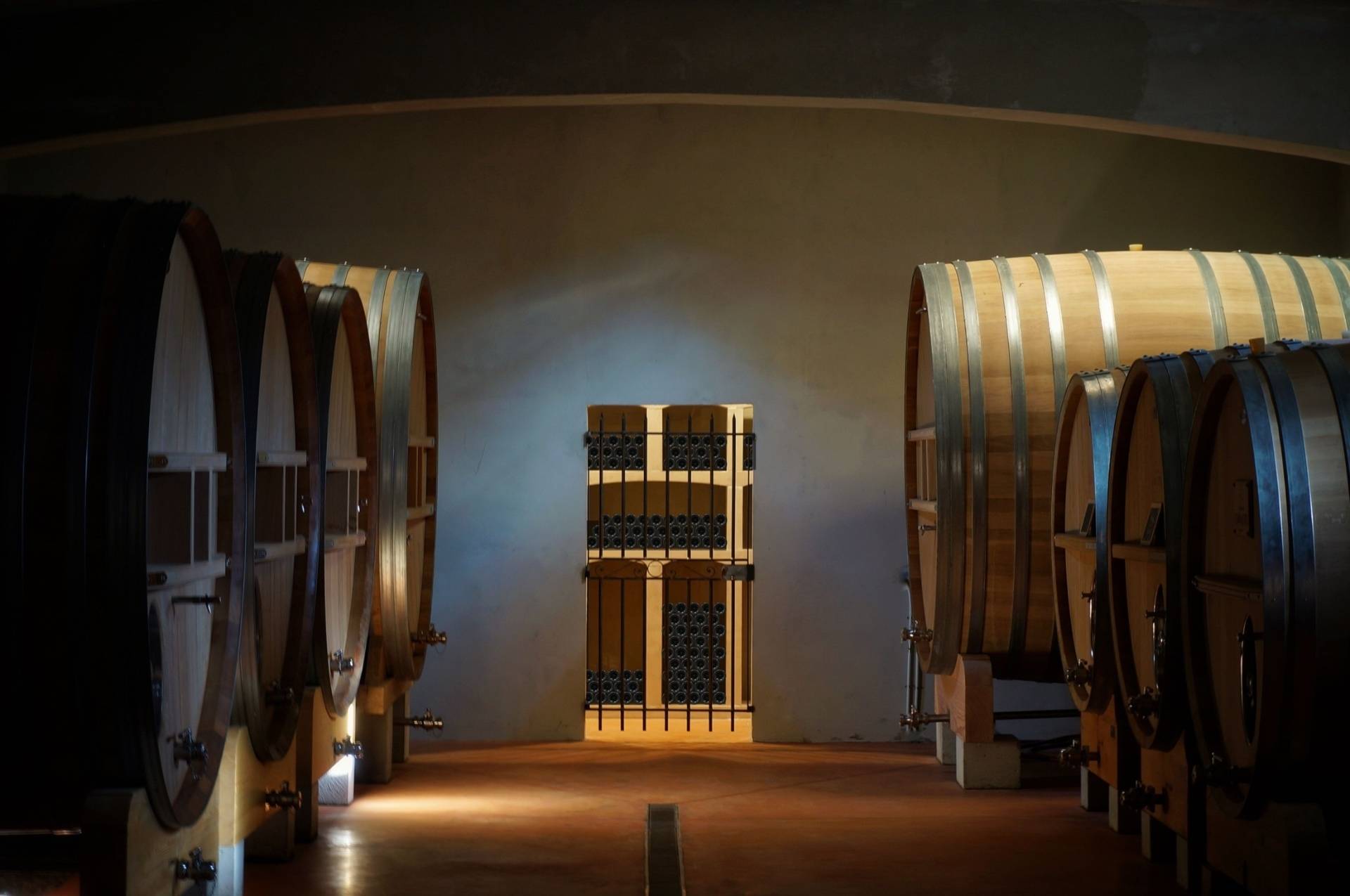 Tour-tasting: From vine to wine